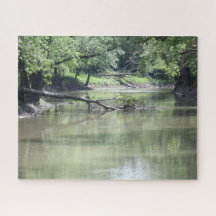 Árvore desbotada na água