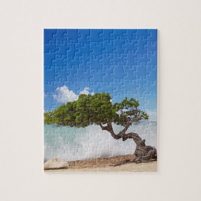 Quebra-cabeça Árvore Divi Divi, Praia Eagle, Aruba, Caribe (Vertical)
