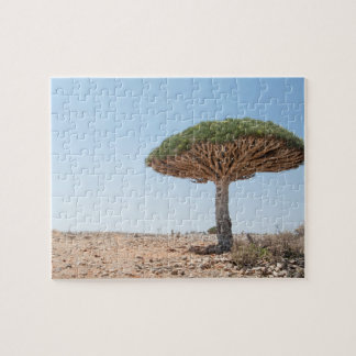 Quebra-cabeça Árvore do sangue de dragão