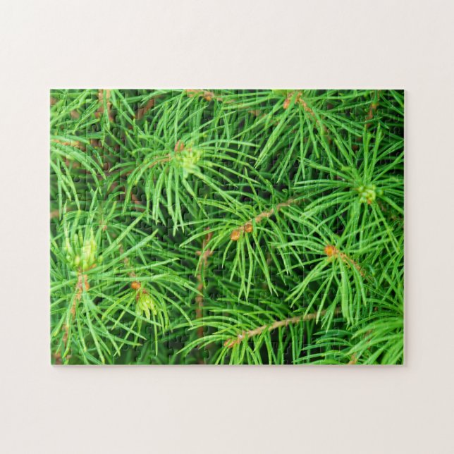 Quebra-cabeça Árvore Evergreen (Horizontal)