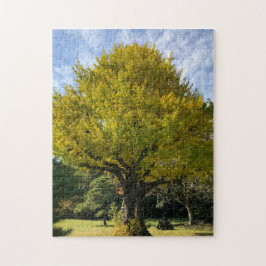Quebra-cabeça Árvore Ginkgo de Amarelo Ouro