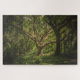Quebra-cabeça Árvore Grande na Floresta
