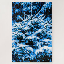 Árvore jovem de Spruce coberto por neve