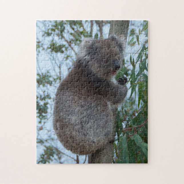 Quebra-cabeça Árvore Koala, Ilha Kangaroo, Austrália, 252 peças (Vertical)
