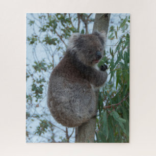 Quebra-cabeça Árvore Koala, Ilha Kangaroo, Austrália, 520 peç
