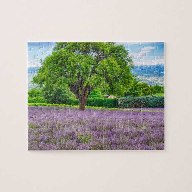 Quebra-cabeça Árvore no Campo de Lavanda, França (Horizontal)