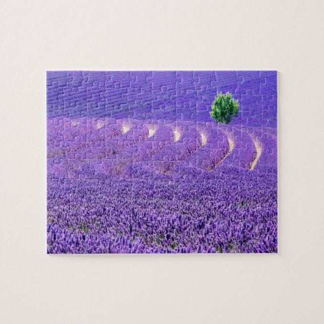 Quebra-cabeça Árvore solitária no campo de lavanda, França (Horizontal)