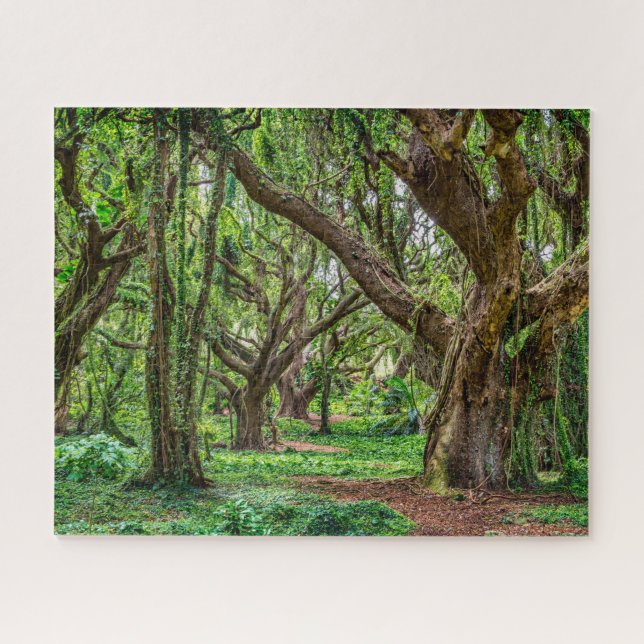 Quebra-cabeça Árvores da Floresta Tropical (Horizontal)