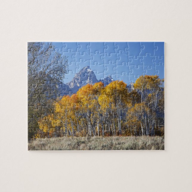 Quebra-cabeça Árvores de Aspen com a cordilheira Teton (Horizontal)