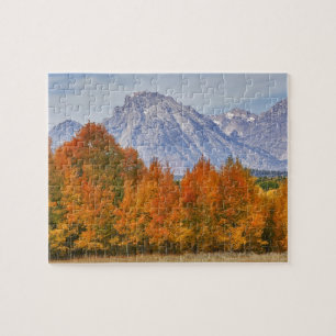 Quebra-cabeça Árvores de Aspen com a cordilheira Teton