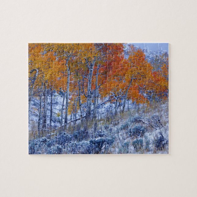 Quebra-cabeça Árvores de Aspen em cores de outono, Montanhas Big (Horizontal)