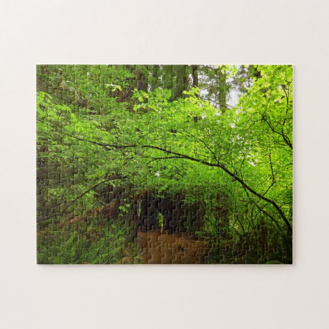 Quebra-cabeça Árvores de bordo na floresta de sequóias (Horizontal)