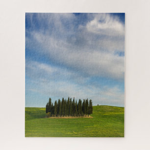 Quebra-cabeça Árvores de Cypress no vertical de Toscânia