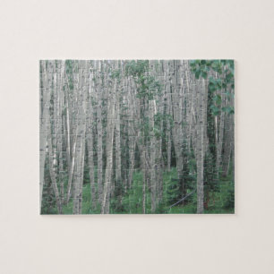 Quebra-cabeça Árvores de Verão em Aspen - 8x10 - 110 pcs Quebra-