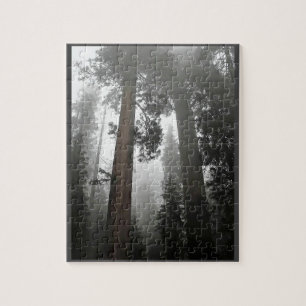 Quebra-cabeça Árvores gigantes de sequoia na porca, CA