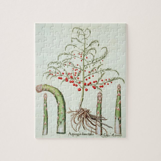 Quebra-cabeça Aspargo comum na flor e na fruta, do 'Ho (Vertical)