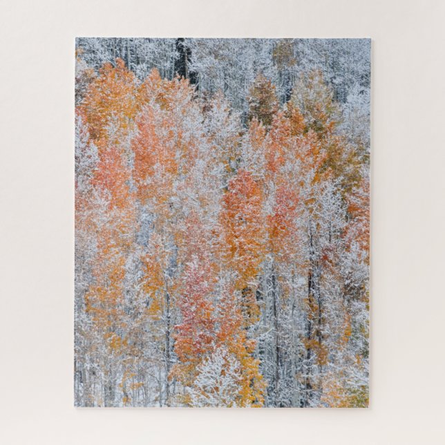 Quebra-cabeça Aspens & Neve | Montanhas Rochosas, Colorado (Vertical)