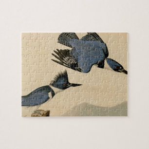 Quebra-cabeça Audubon Belfisher Kingfisher Wildlife Bird