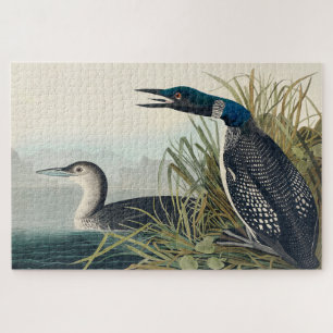 Quebra-cabeça Audubon Bird Loon Diver Classic