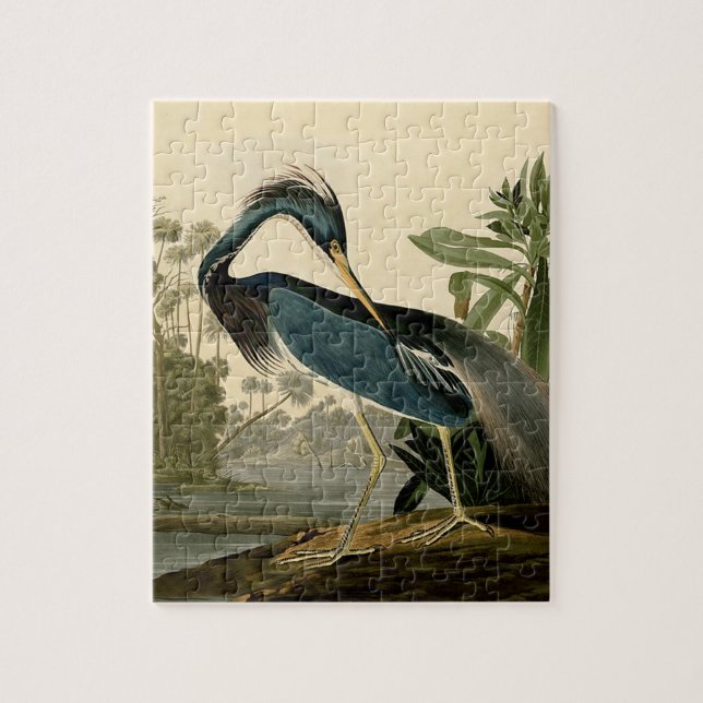 Quebra-cabeça Audubon Garça da Louisiana Pássaros América Arte (Vertical)