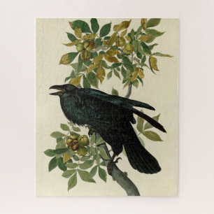 Quebra-cabeça Audubon Raven Bird Classic Trabalho de arte