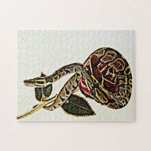 Quebra-cabeça Aumentou e o cobra - bola Phyton