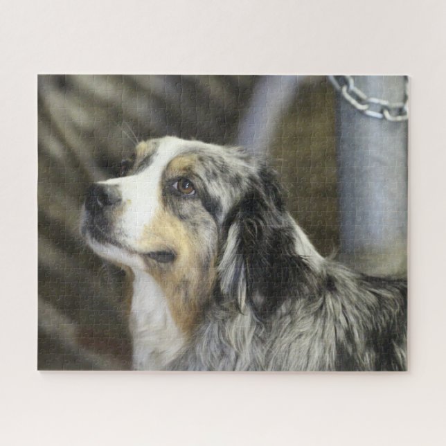 Quebra-cabeça Aussie (Horizontal)