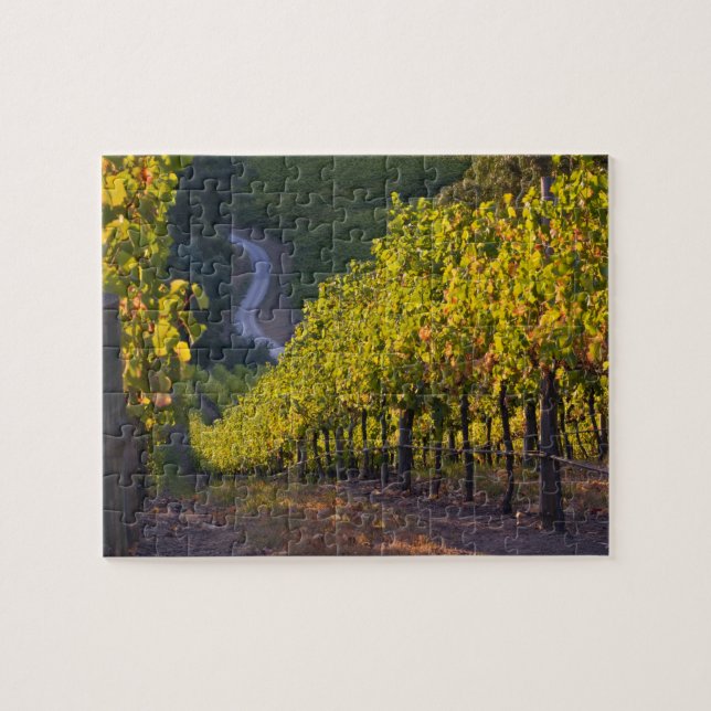 Quebra-cabeça Austrália do Sul, Colinas de Adelaide, Summertown. (Horizontal)