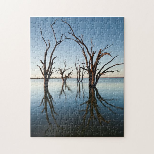 Quebra-cabeça Austrália, Vale do Rio Murray, Barmera, Lago (Vertical)