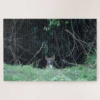 Quebra-cabeça Australian Wildlife Dingo Puppy 