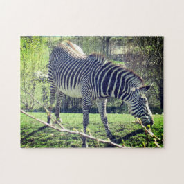 Quebra-cabeça Autoatendimento De Relaxamento De Zebra