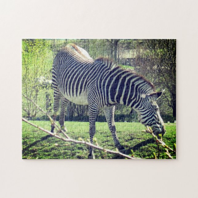 Quebra-cabeça Autoatendimento De Relaxamento De Zebra (Horizontal)