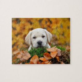 Quebra-cabeça Autumn Labrador