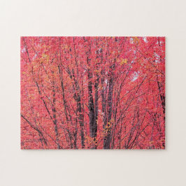 Quebra-cabeça Autumn Red - Queda Trees