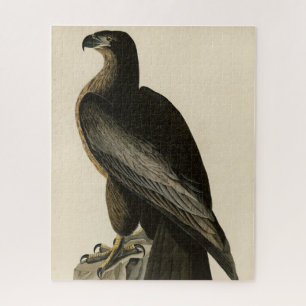 Quebra-cabeça Ave de Washington das Aves da América de Audubon