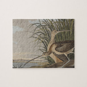 Quebra-cabeça Ave-do-relvado-de-bico-longo-Audubon