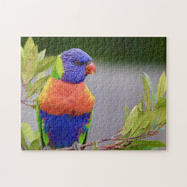 Quebra-cabeça Ave Lorikeet Empoleirada Papagaio Animal Penas (Horizontal)