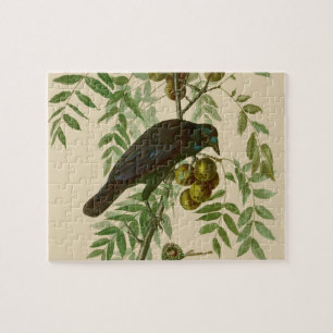 Quebra-cabeça Ave Negra Americana da Audubon