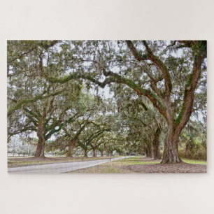 Quebra-cabeça Avenida dos Oaks, Carolina do Sul
