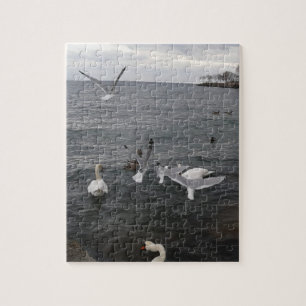 Quebra-cabeça Aves Aquáticas no Lago Ontário