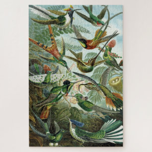 Quebra-cabeça Aves-Cama - Ernst Haeckel