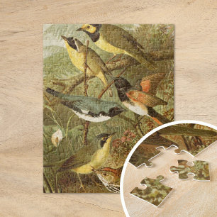 Quebra-cabeça Aves da América do Norte   Gustav Mü tzel