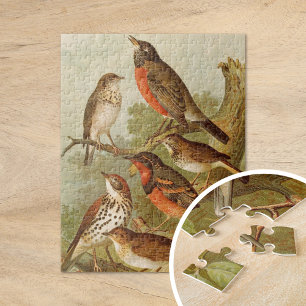 Quebra-cabeça Aves da América do Norte   Gustav Mü tzel
