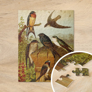 Quebra-cabeça Aves da América do Norte   Gustav Mü tzel