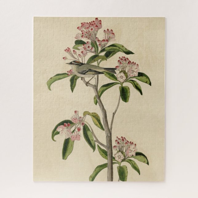 Quebra-cabeça Aves de Audubon do Reino Cuvier (Cuvier's Regulus) (Vertical)