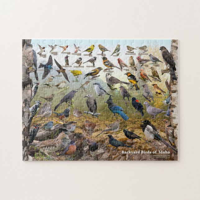 Quebra-cabeça Aves de Idaho (Horizontal)