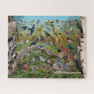 Quebra-cabeça Aves de Maryland
