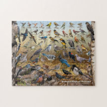 Aves de Montana