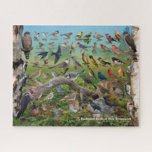 Quebra-cabeça Aves de New Brunswick