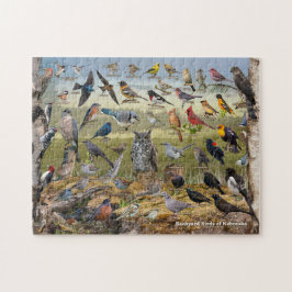 Quebra-cabeça Aves do quintal de Nebraska